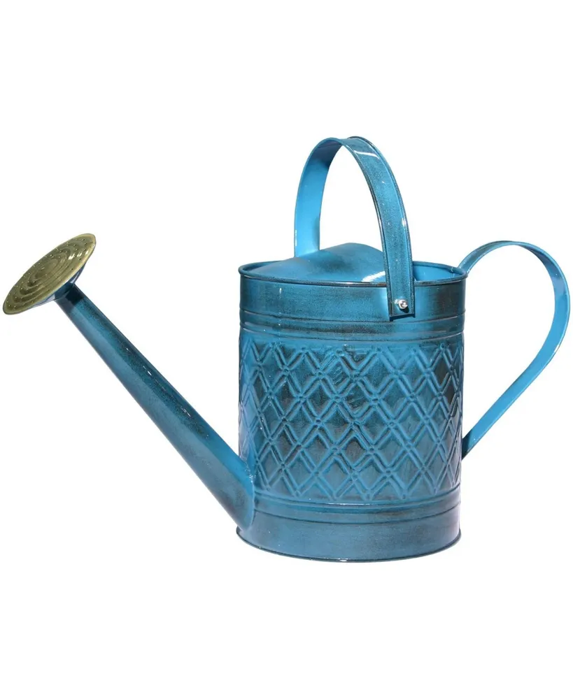 Robert Allen Home and Garden IronLite Wexley Watering Can, Blue, 2 Gal