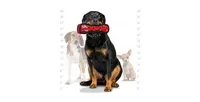 Tuffy Ultimate Bone Red Paw