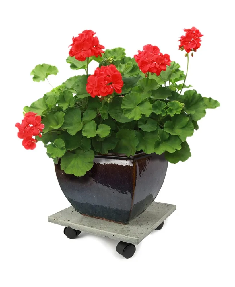 Plastec CD712 Terra Stone Plant/Flower Pot Moveable Caddy, Gray, 12"