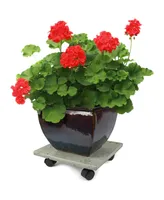 Plastec CD712 Terra Stone Plant/Flower Pot Moveable Caddy, Gray, 12"