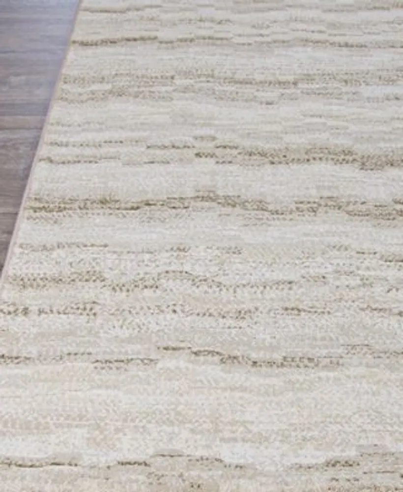 Couristan Easton Shimmering Area Rug