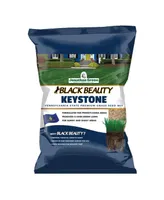 Jonathan Green Black Beauty Keystone Pennsylvania Grass Seed Mix