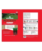 Jonathan Green Black Beauty Sunny Premium Grass Seed Mixture