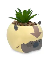 Silver Buffalo Avatar: The Last Airbender Appa 6-Inch Ceramic Planter With Artificial Succulent | Small Flower Pot, Faux Indoor Plant For Desk Shelf,