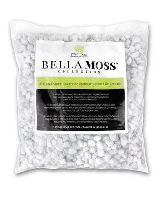 Syndicate Home and Garden Bella Moss Pumice Hydro Stones, 1 Qrt