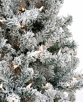 National Tree Company 6' Acacia Flocked Pre-lit Christmas Tree with 300 Clear Incandescent Lights