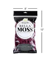 Bella Moss Preserved Reindeer Moss, Sangria, 80 cu in.