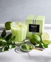 Nest New York Lime Zest & Matcha Classic Candle, 8.1 oz.