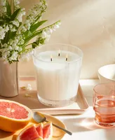 Nest New York Grapefruit 3