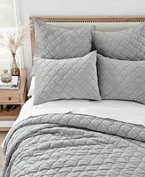 Levtex Velvet 3-Pc. Quilt Set