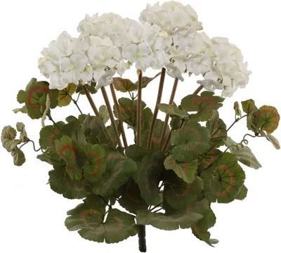 White Silk Geranium Bush - Lifelike Artificial House Plant