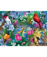 Masterpieces Audubon Songbird Collage 300 Piece Ez Grip Jigsaw Puzzle
