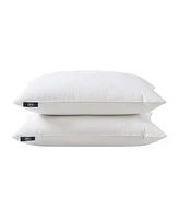 Serta HeiQ Cooling Softy-Around Feather & Down 2-Pack Pillows