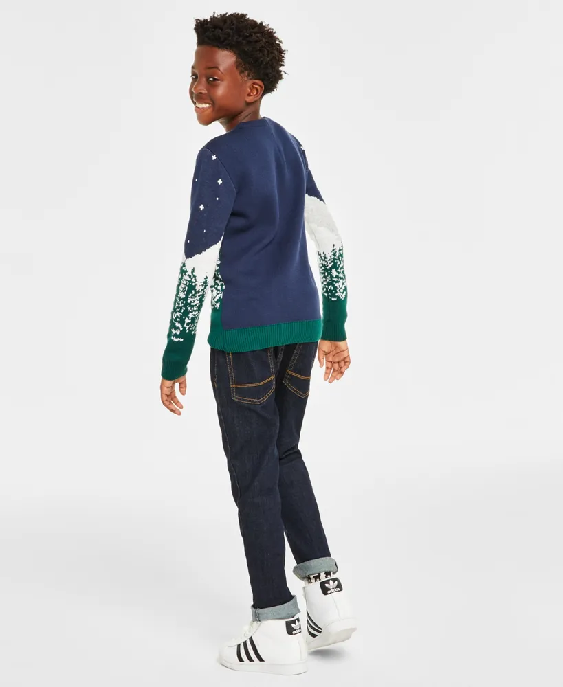 Holiday Lane Big Boys Snowy Landscape Crewneck Sweater, Created for Macy's