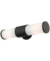 Livex Norfolk 2 Light Outdoor Ada Wall Lantern