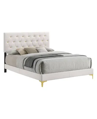 Coaster Home Furnishings Kendall 49.25" Asian Hardwood Tufted Upholstered Panel Queen Bed