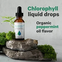 Codeage Chlorophyll Liquid Drops Supplement - Chlorophyll 50 mg per Serving, Liquid Chlorophyll Water, Organic Peppermint Flavor Clorofila Drink