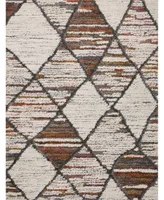 Loloi Levitt Shag Lev--05 4' x 6' Area Rug
