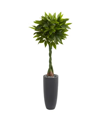 Nearly Natural 6' Money Artificial Tree in Gray Cylinder Planter - Real Touch