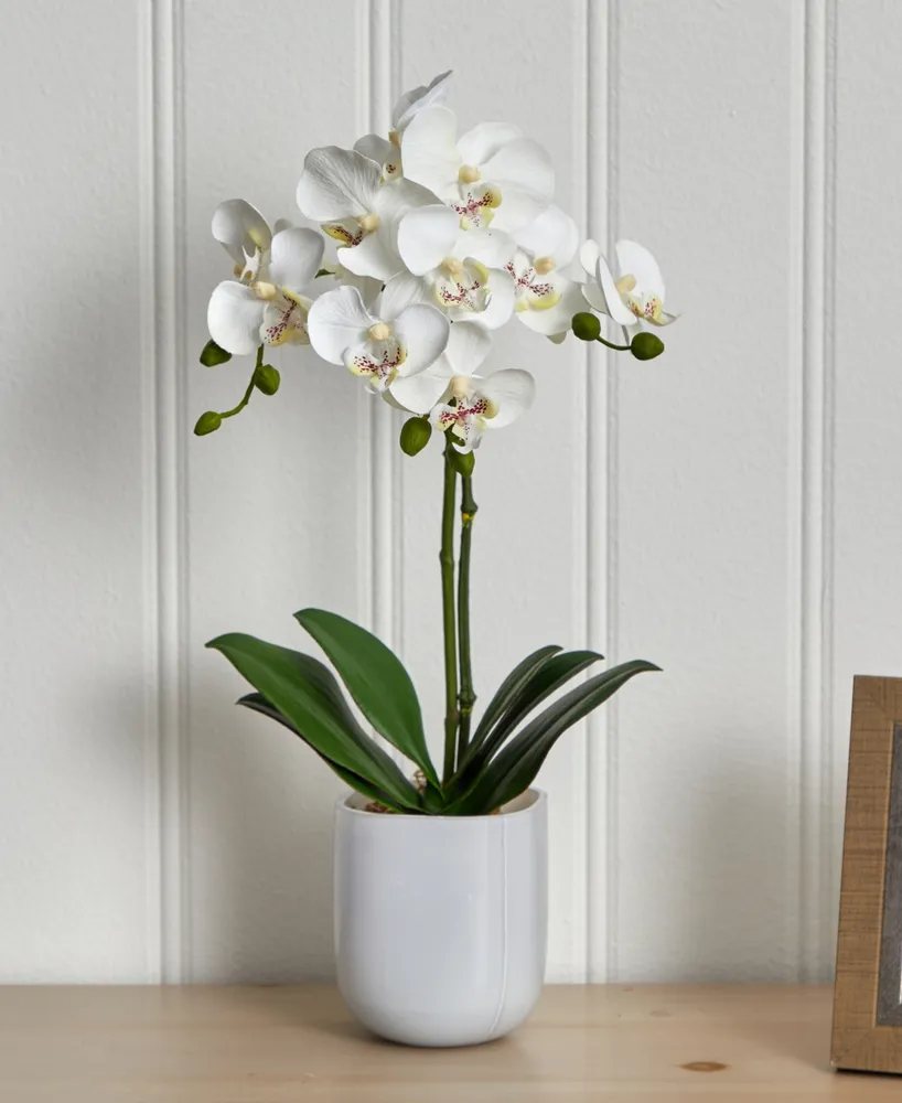 Nearly Natural Phalaenopsis Orchid in Frosted Glass