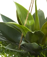 Nearly Natural Agave and Maiden Hair Artificial Plant in Hanging Basket (Indoor/Outdoor)