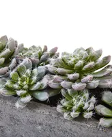 Nearly Natural Succulent Garden w/Textured Concrete Planter