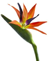 Nearly Natural 35-In. Bird of Paradise Artificial Flower, Set of 4