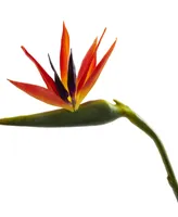 Nearly Natural 38-In. Large Bird of Paradise Artificial Flower, Set of 4