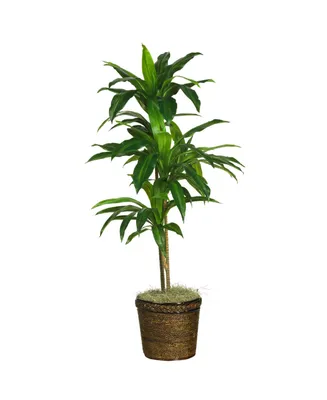 Nearly Natural Dracaena with Basket Silk Plant, Real Touch