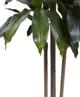 Nearly Natural 5' Dracaena Plant Uv Resistant