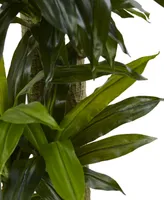 Nearly Natural 5.5' Corn Stalk Dracaena Artificial Plant in Black-Washed Planter