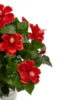 Nearly Natural Hibiscus Artificial Flowering Plant in Swirl Planter