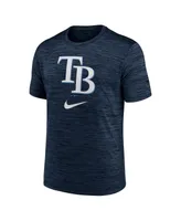 Men's Nike Navy Tampa Bay Rays Logo Velocity Performance T-shirt