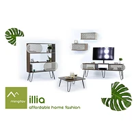 Illia Floating Wall Decor Wall Mounted Rustic Decorative Hanging Shelf For Books, Set Of 2