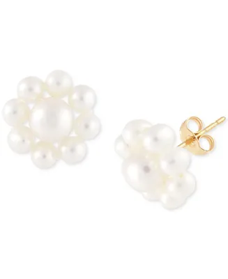 Cultured Freshwater Pearl (2-3/4 - 4-1/2mm) Flower Stud Earrings in 14K Gold