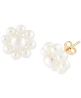 Cultured Freshwater Pearl (2-3/4 - 4-1/2mm) Flower Stud Earrings in 14K Gold