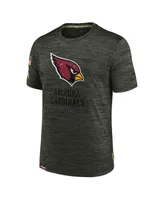 Men's Nike Brown Arizona Cardinals 2022 Salute to Service Velocity Team T-shirt