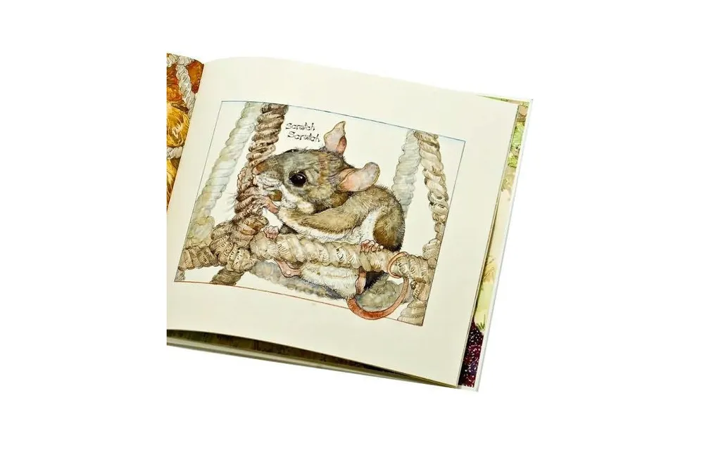 The Lion the Mouse Caldecott Medal Winner by Jerry Pinkney