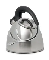 Vine Whistling Tea Kettle - Silver