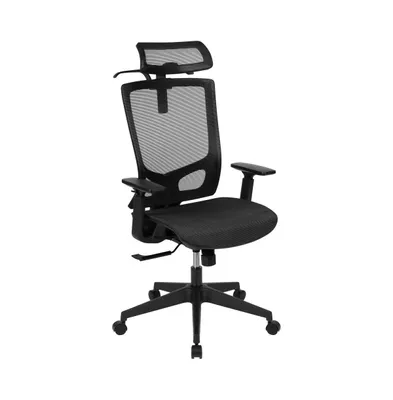 Emma+Oliver Ergonomic Mesh Office Chair-Synchro-Tilt, Pivot Headrest, Adjustable Arms