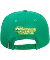 Men's Pro Standard Green Norfolk State Spartans Evergreen Mascot Snapback Hat