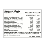 PatchAid Metabolism Plus with Garcinia Cambogia Patch by (30-Day Supply)