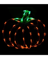 National Tree Company 14" Halloween Lighted Pumpkin Decoration