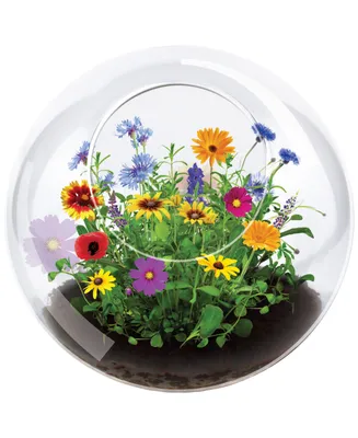 Unique Gardener Glass Terrarium Wildflower Blooms Plant Kit