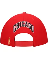 Men's Pro Standard Red Chicago Bulls Wordmark Logo Snapback Hat