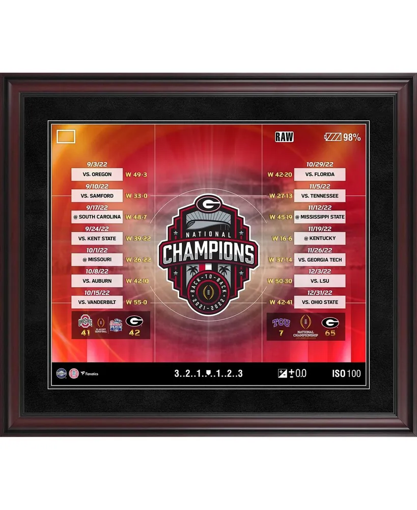 Fanatics Authentic Georgia Bulldogs College Football Playoff 2022 National Champions 20'' x 24'' Collage