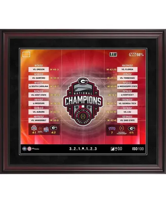 Fanatics Authentic Jacksonville Jaguars 2022 AFC South Champions Framed  15'' x 17'' Collage