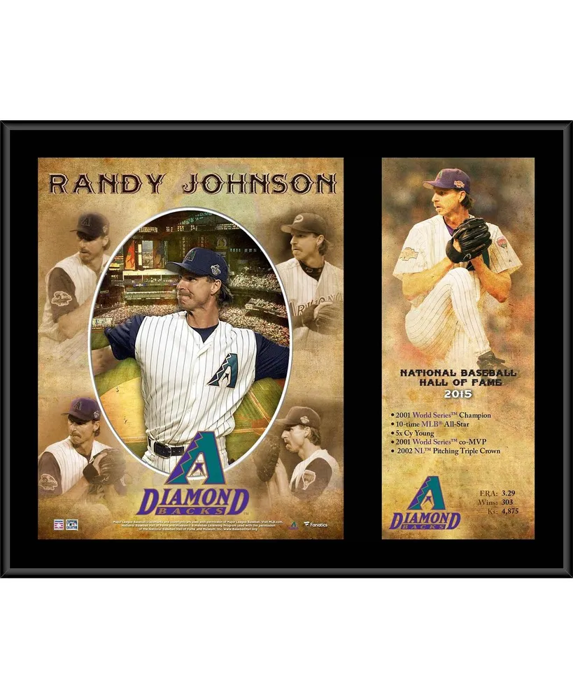 2015 Hall of Fame profile: Randy Johnson 