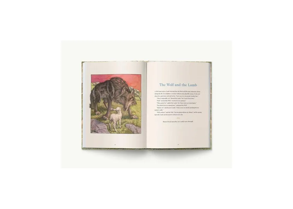 Aesop's Fables Hardcover