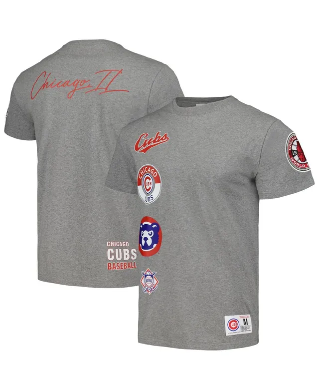 Men's Philadelphia Phillies Mitchell & Ness Heather Gray Cooperstown  Collection City Collection T-Shirt